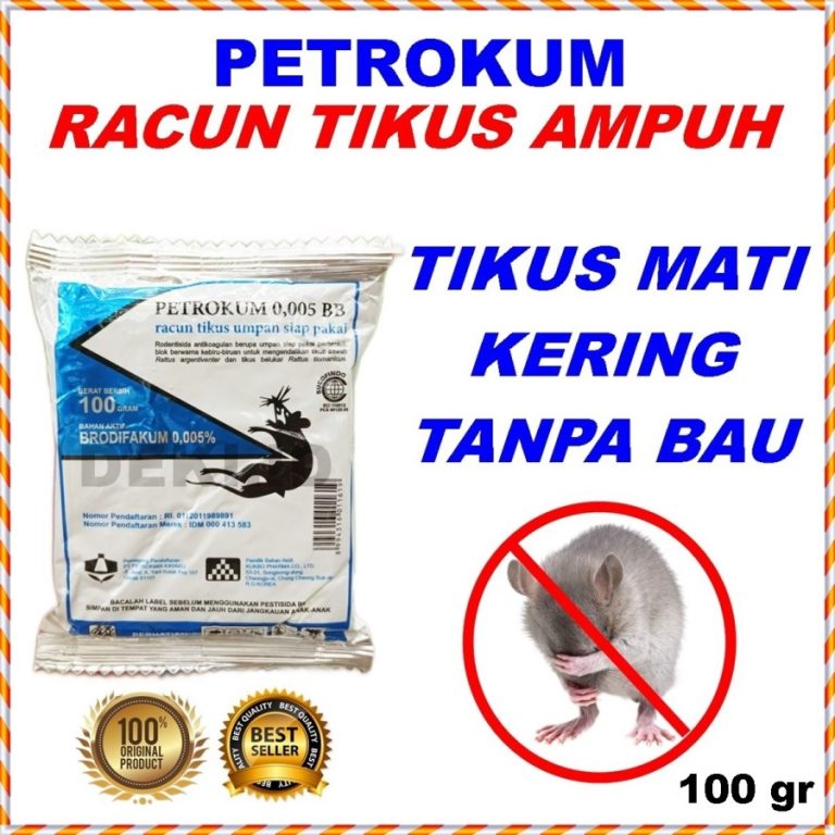 Tips dan Trik Usir Tikus dari Rumah